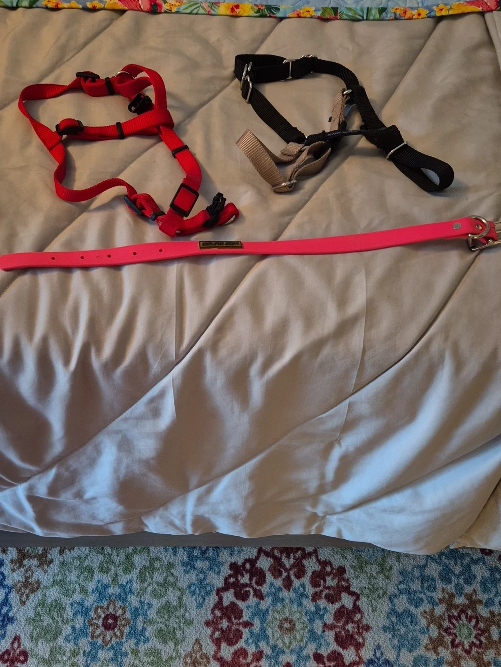 Adjustable Pink Dog Collar with Quick-Release Buckle
